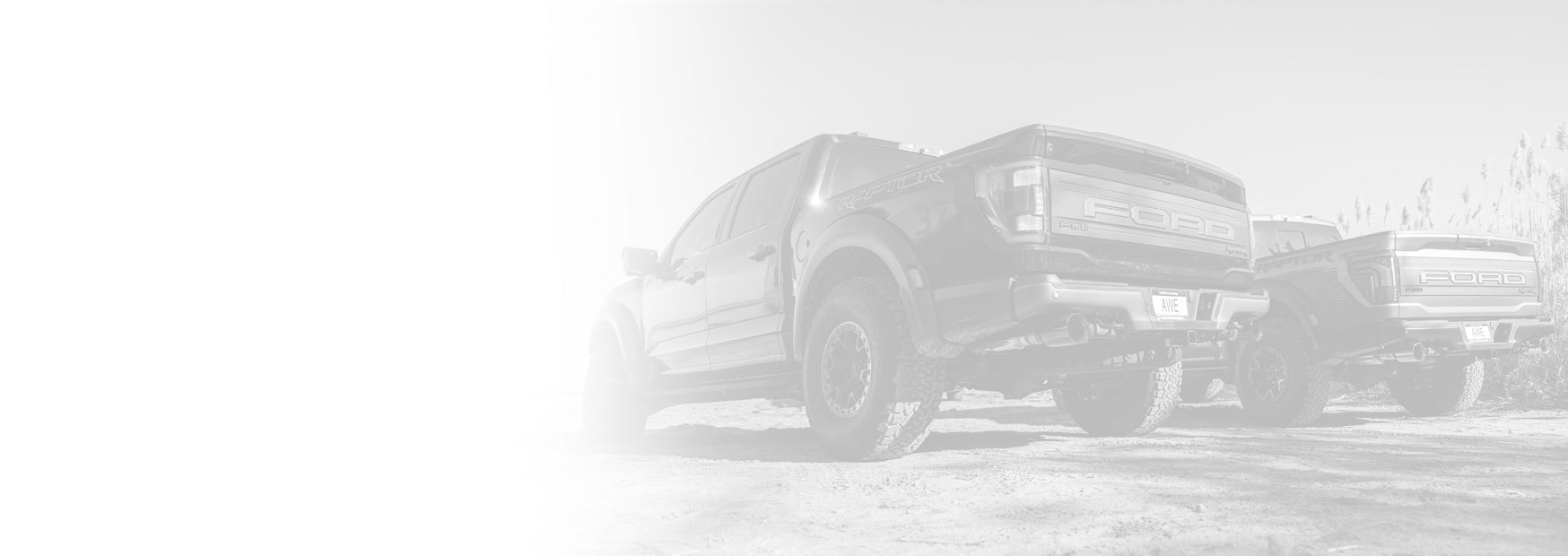 AWE Raptor Performance