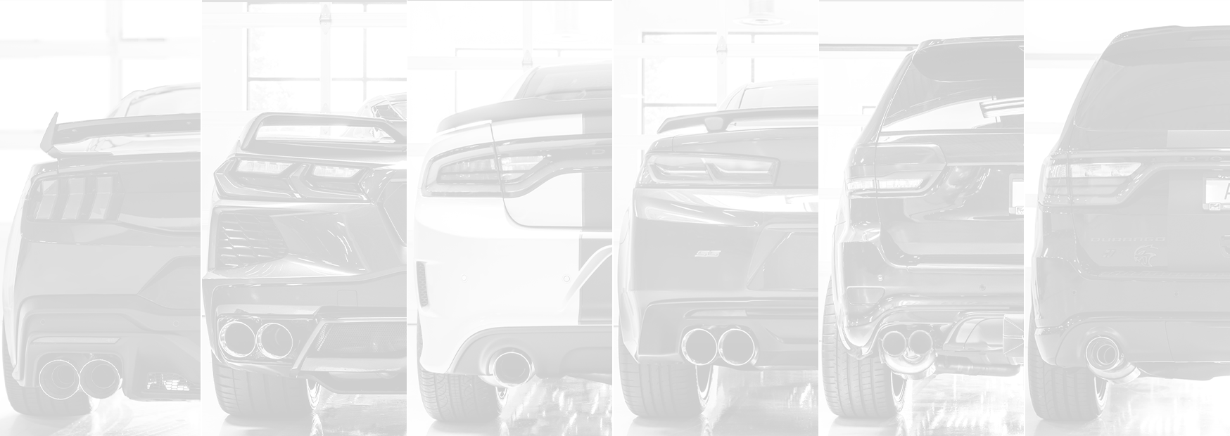 AWE Muscle Performance